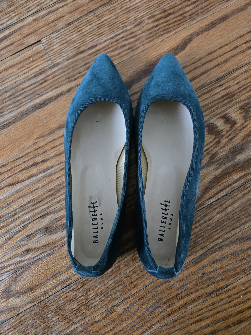 Balerette Velvet Pointed-Toe Flats